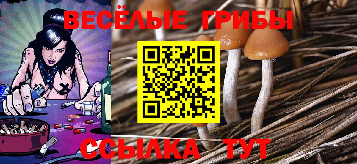 Узловая  где можно купить   Вход с VPN  Псилоцибиновые грибы ЛСД 